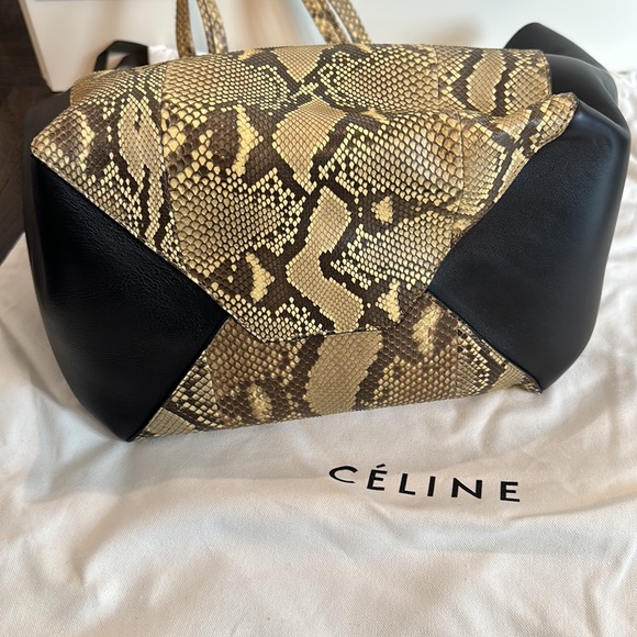 Celine Medium Phantom Leather & Python Cabas Bag - Picture 5 of 10